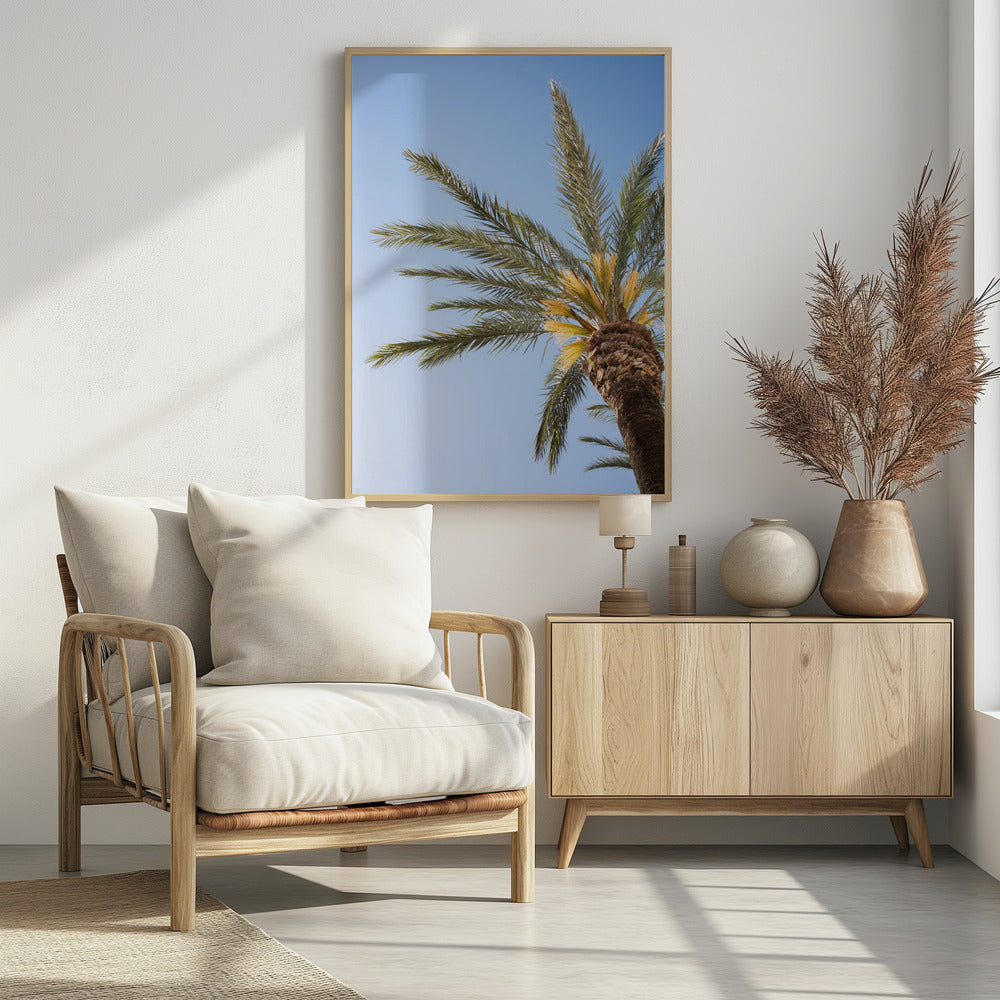 Vejer de La Frontera Palm Tree | Poster