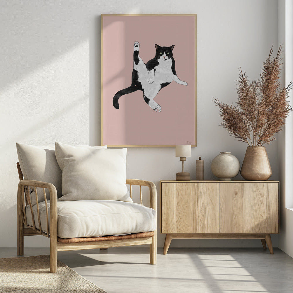 Cat In A Funny Pose | Poster