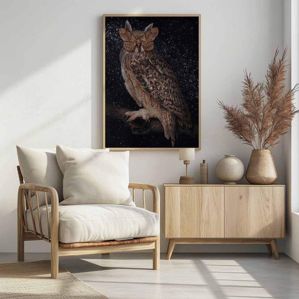 Camouflage and Stars Colour | Poster