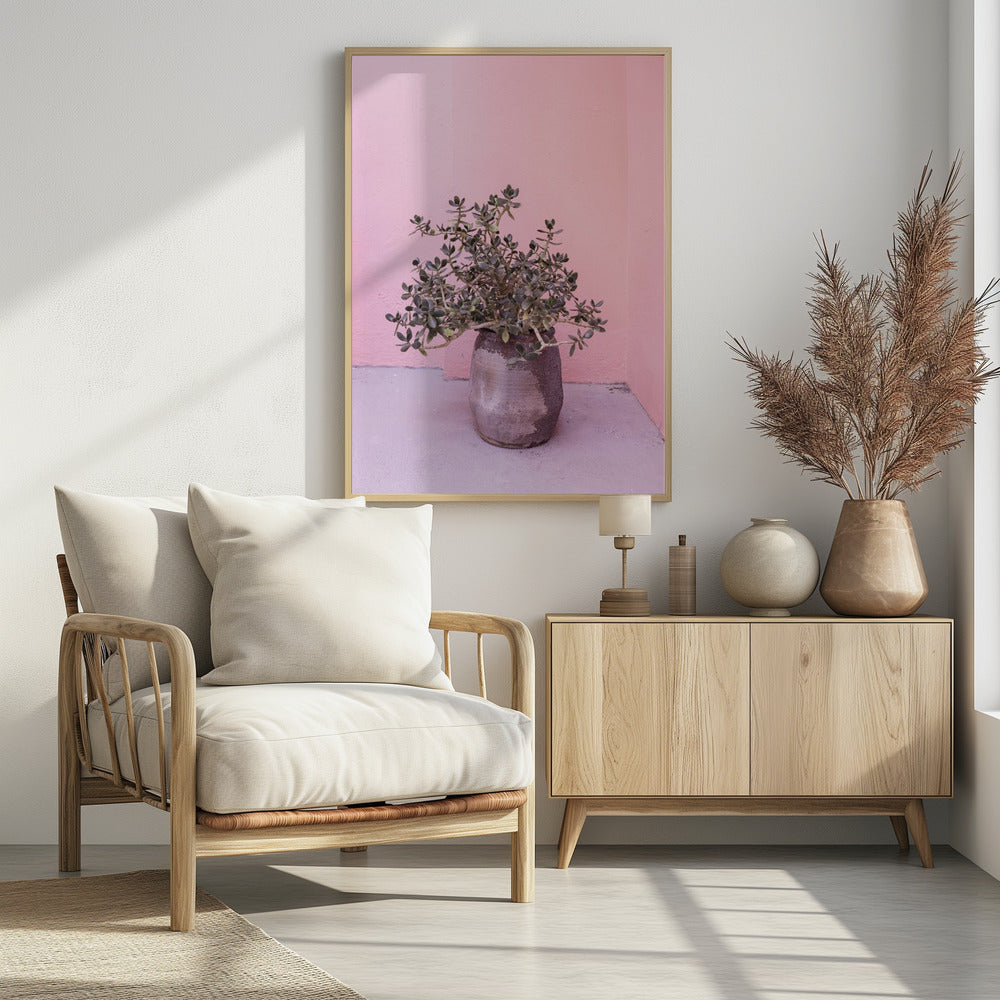 Spanish Rustic Succulent | Poster