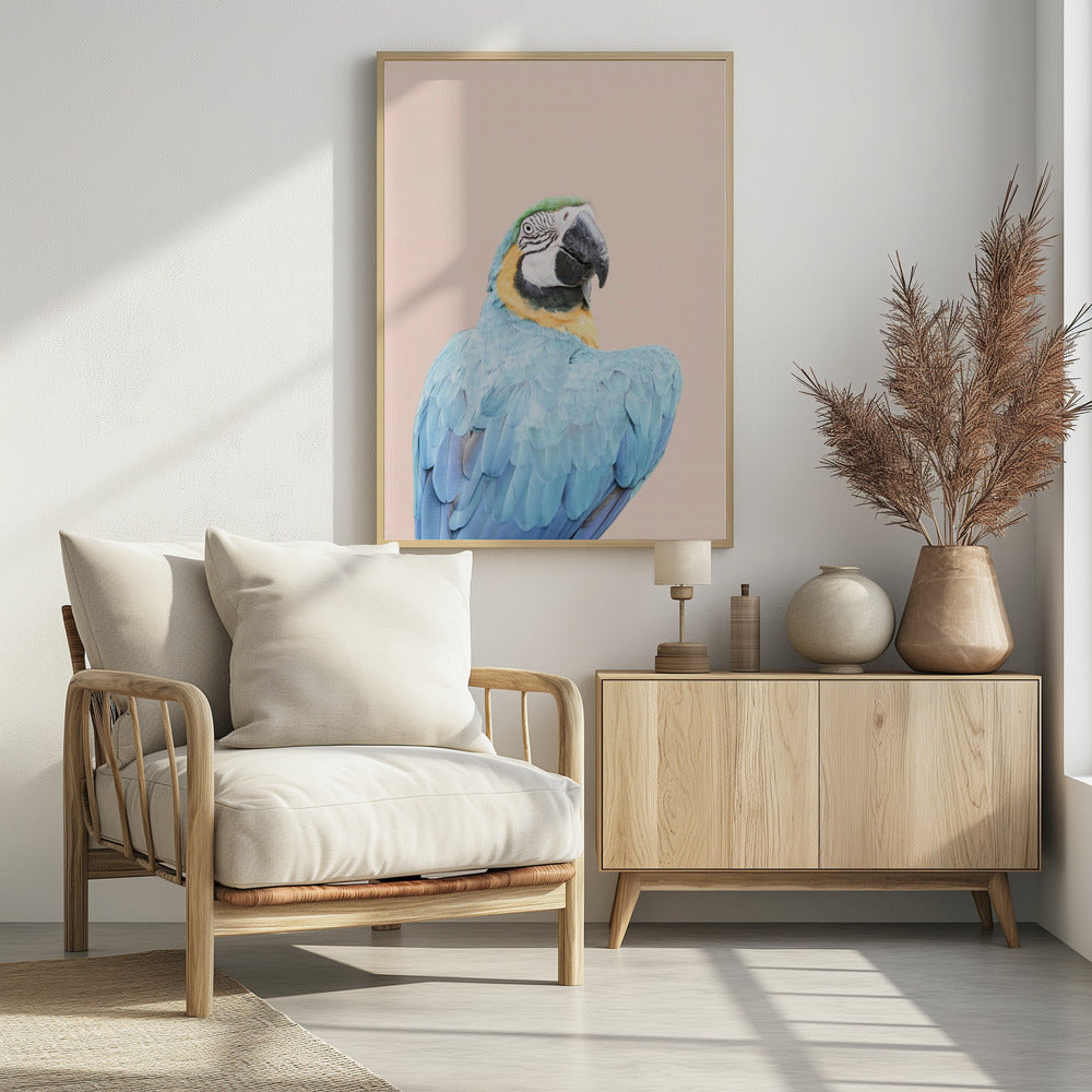 Blue Macaw | Poster