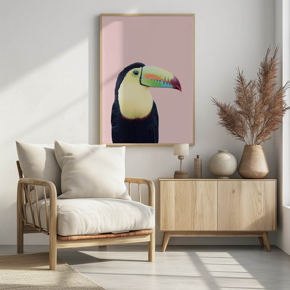 Toucan on Pink | Poster