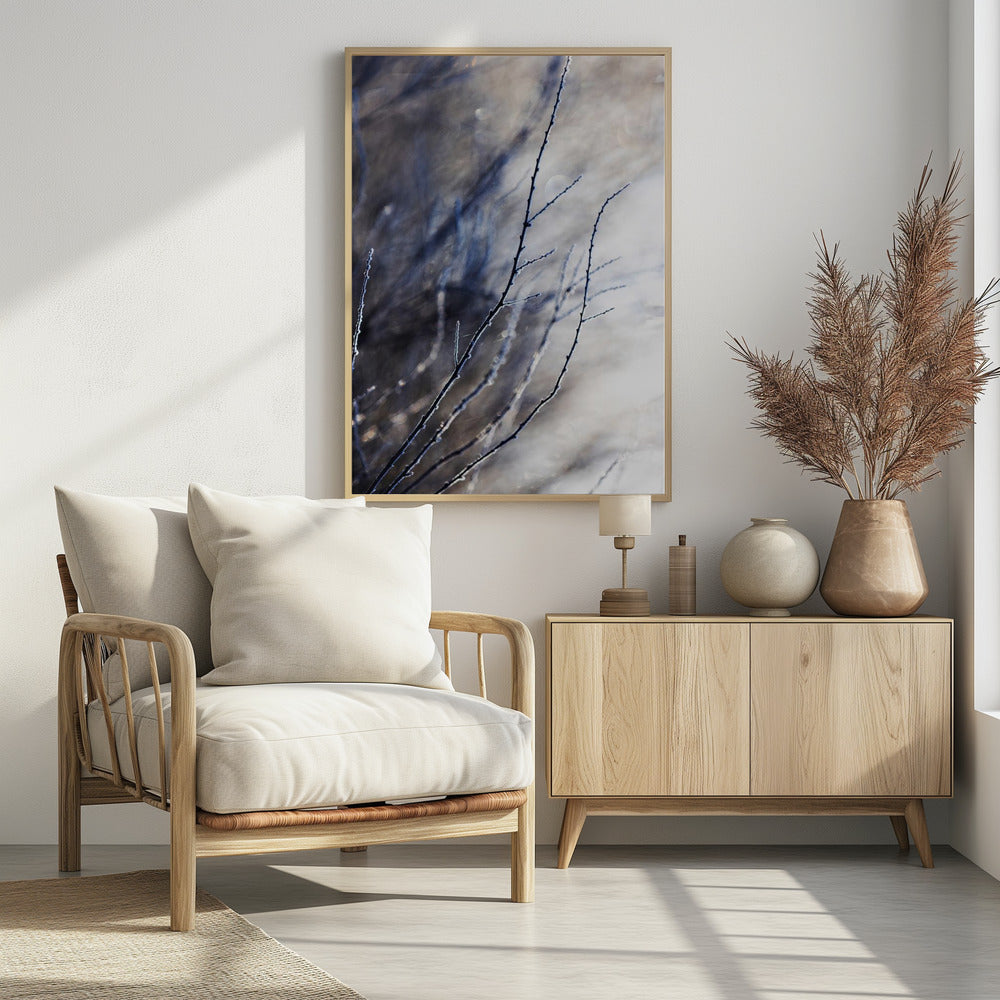 A Winter Morning 7 018a4832 | Poster