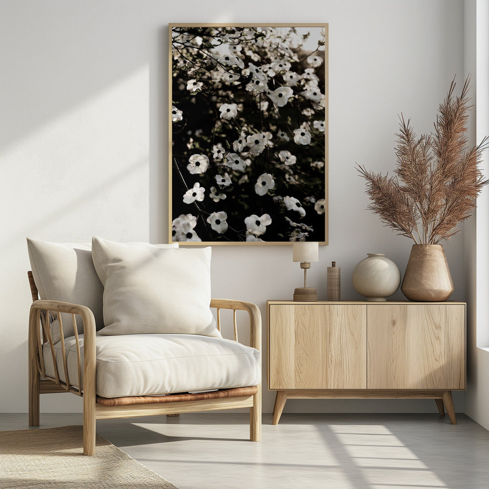 White Spring Tree 5 | Poster
