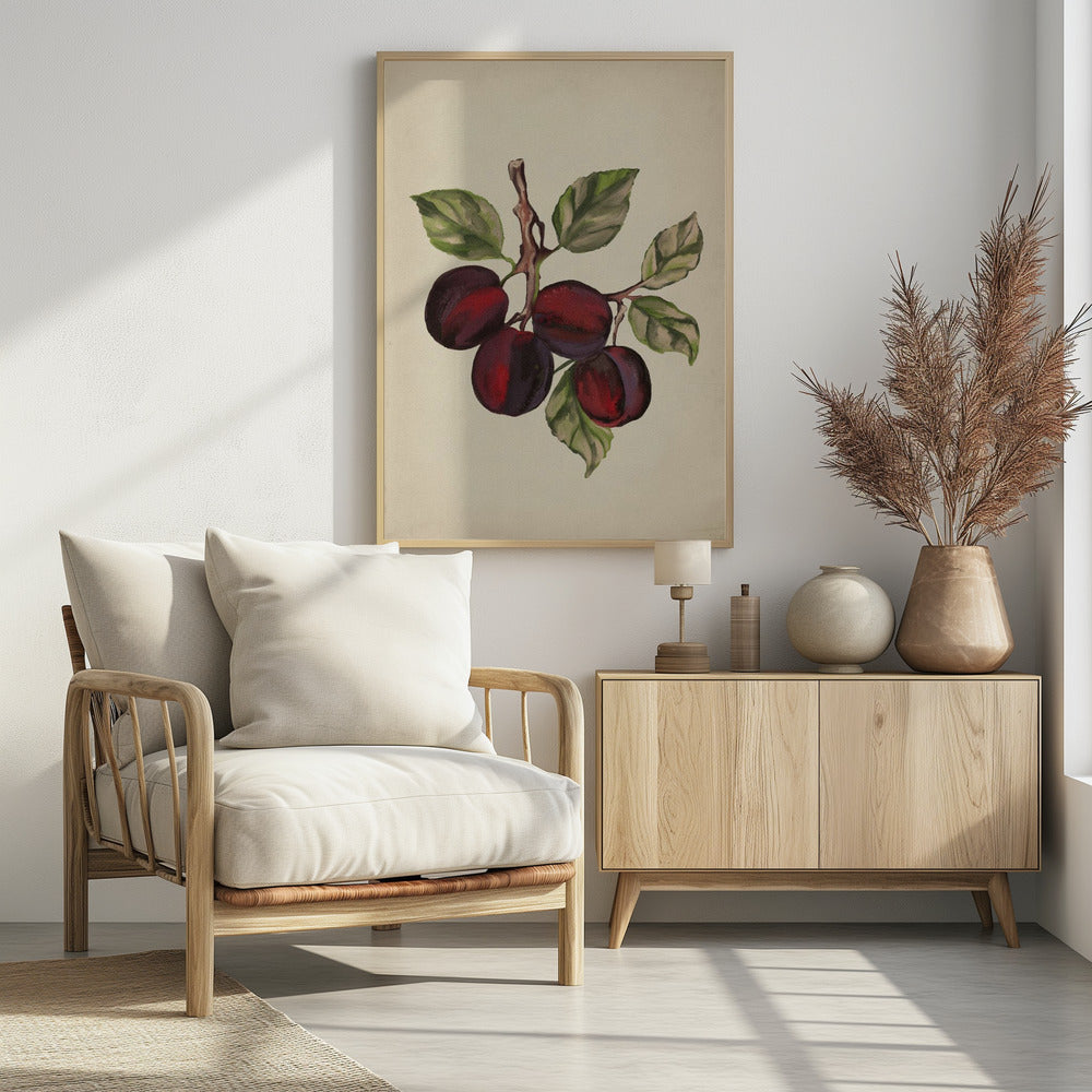 Vintage fruit collection | Poster