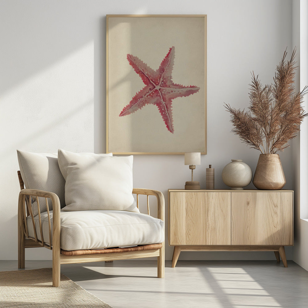 Vintage starfish painting | Poster