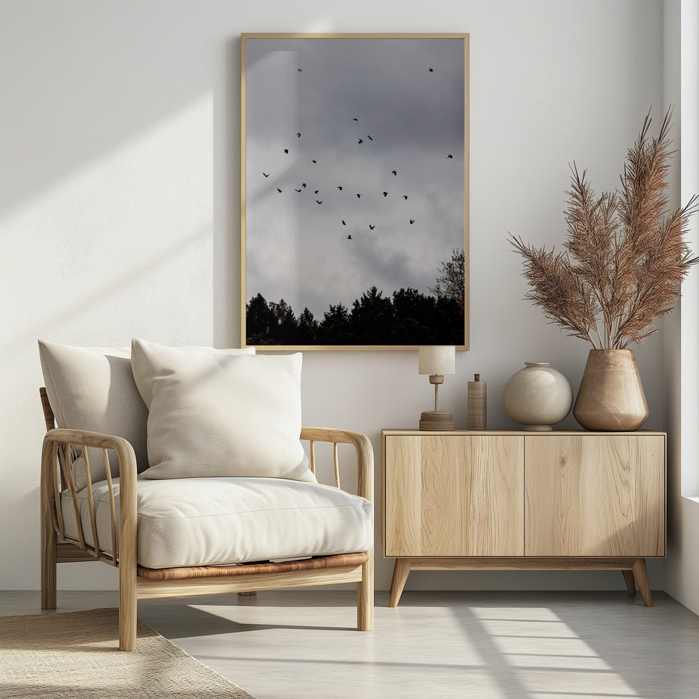Birds and Clouds 1 | Poster