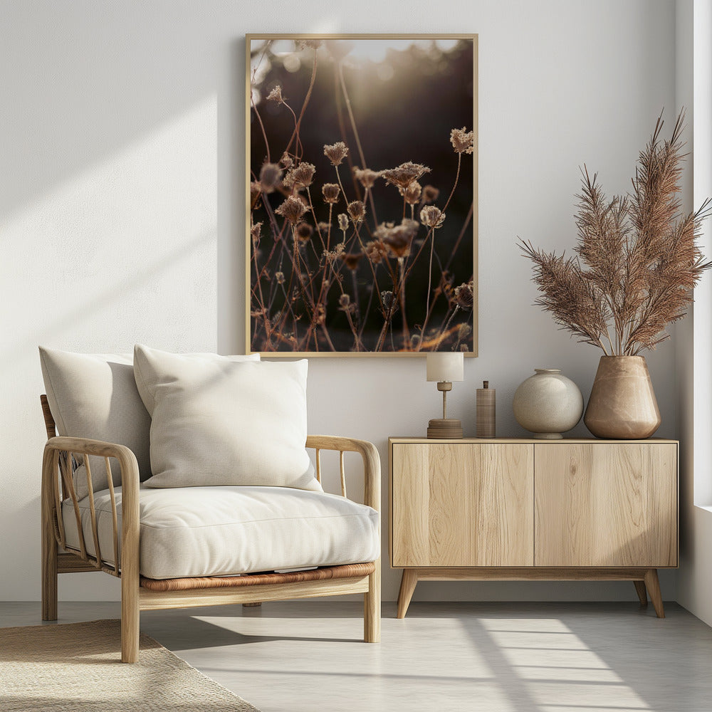 Warm Winter Light 2 | Poster