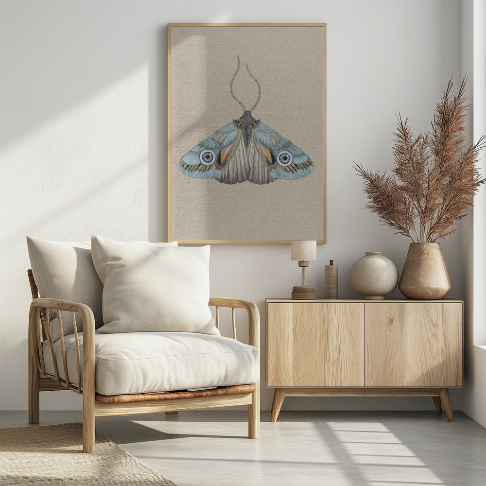 Moth | Poster