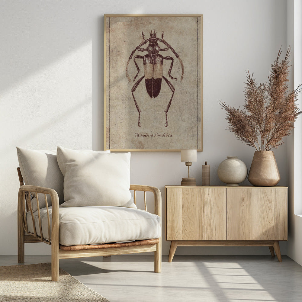 Vintage Insect Sketch | Poster