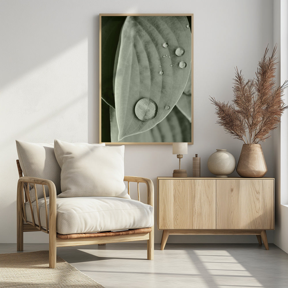 Dew on Leaf Elegance | Poster