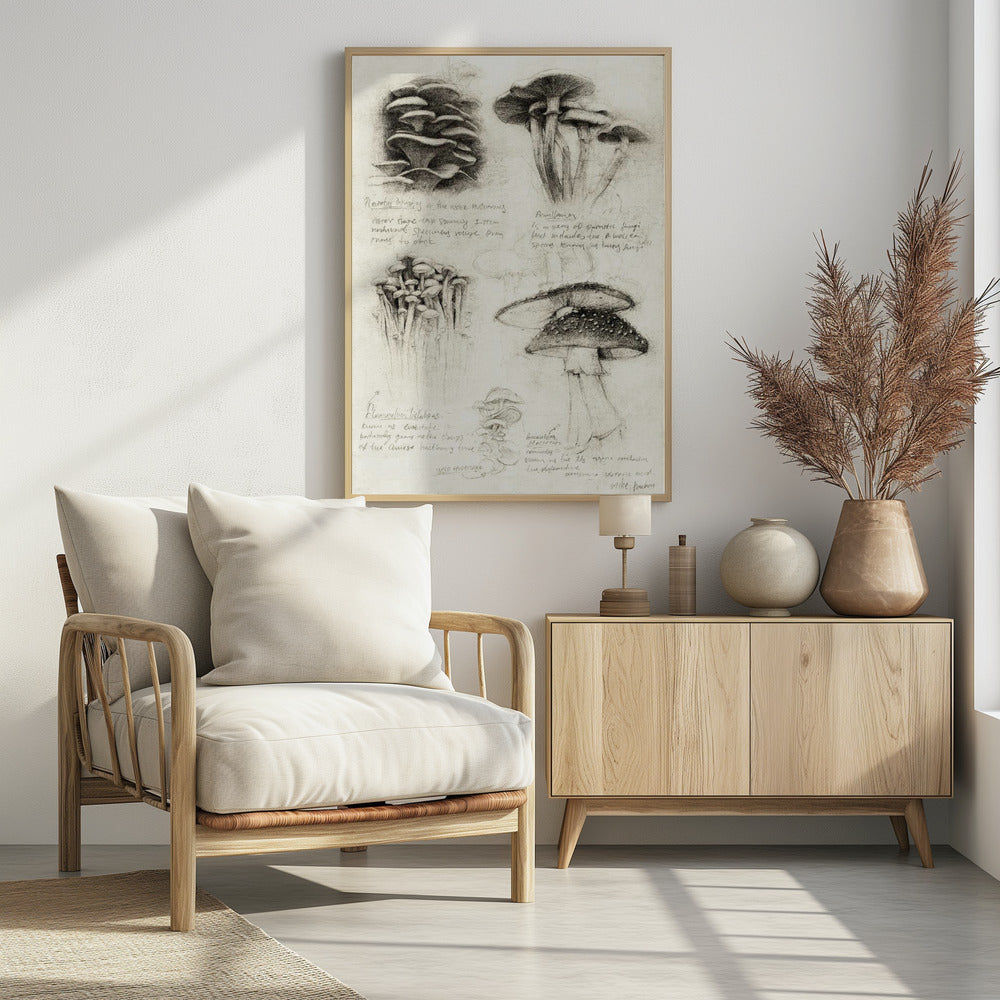 Various Botanical Mushrooms | Poster