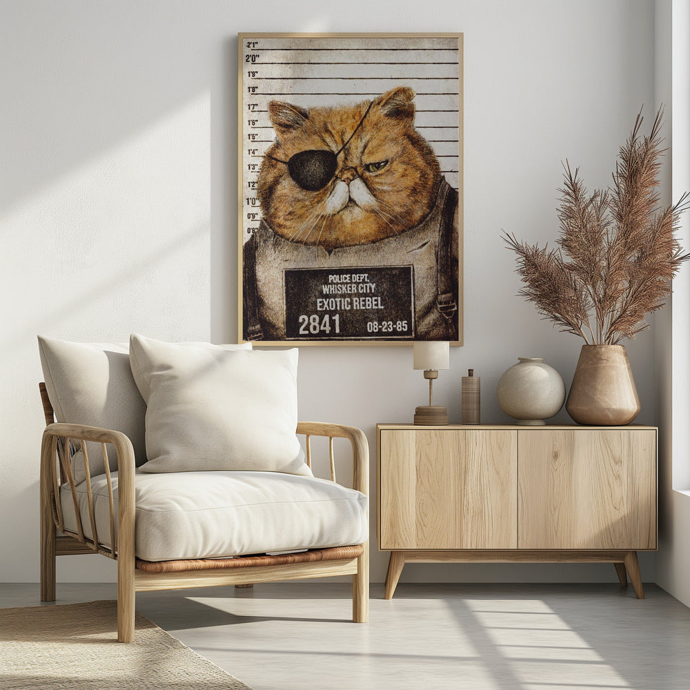Funny Cat | Poster