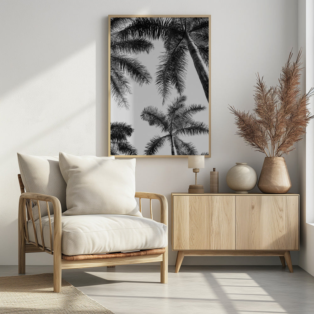 Black And White Palm Tree | Poster