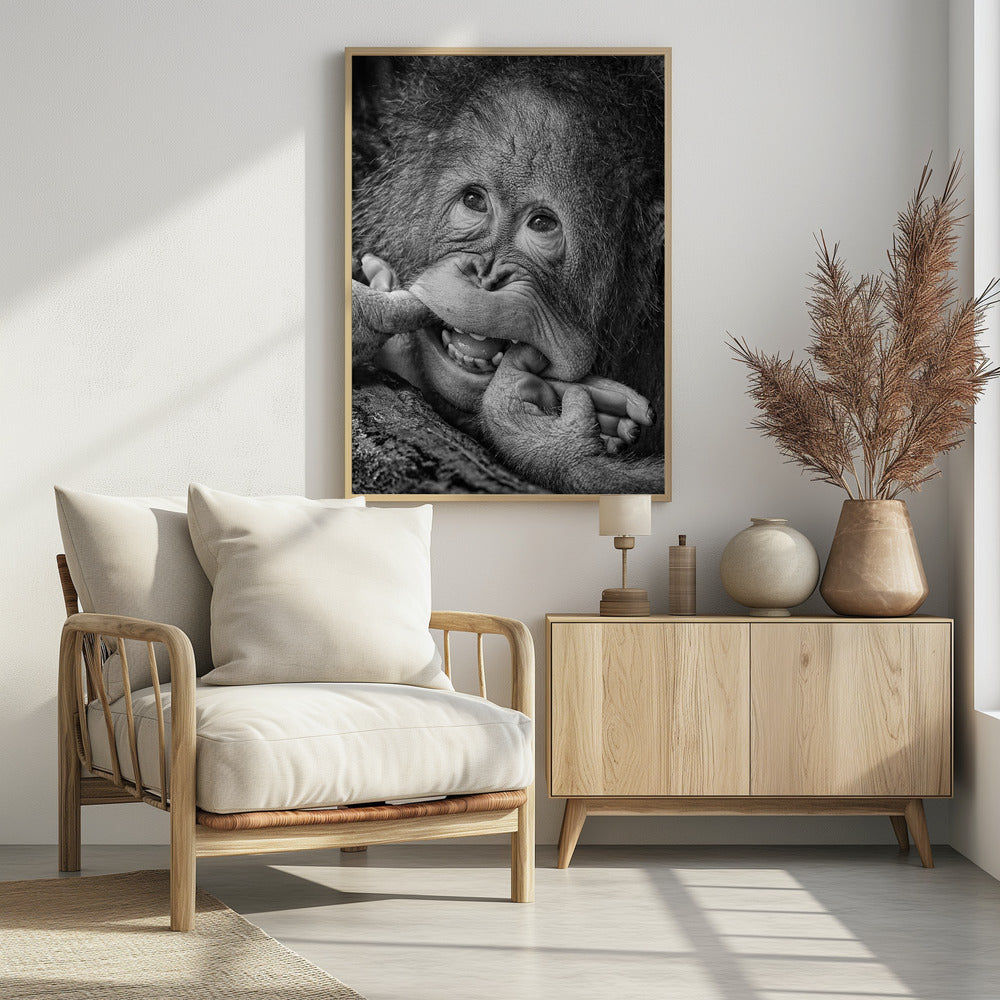 Big Smile.....please | Poster