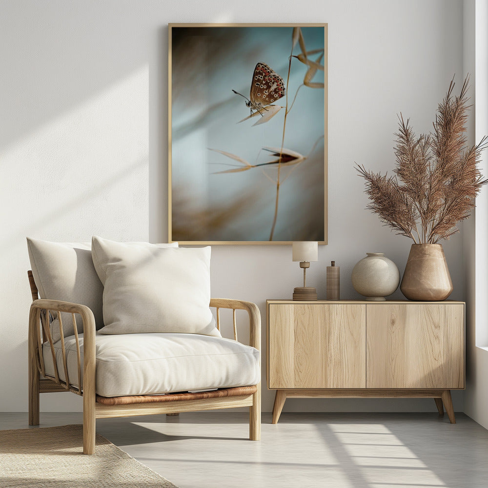 Dream in blue | Poster