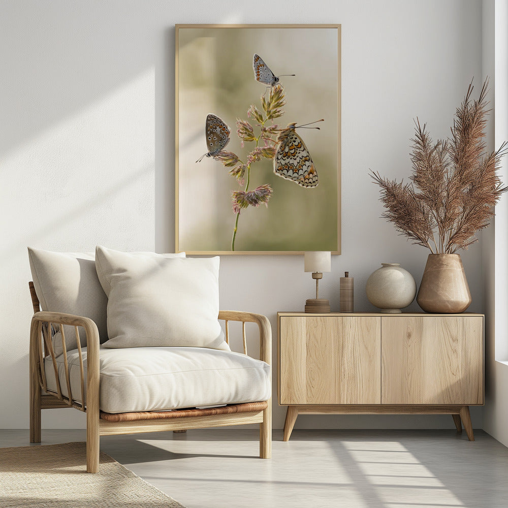 A kind of melting pot | Poster