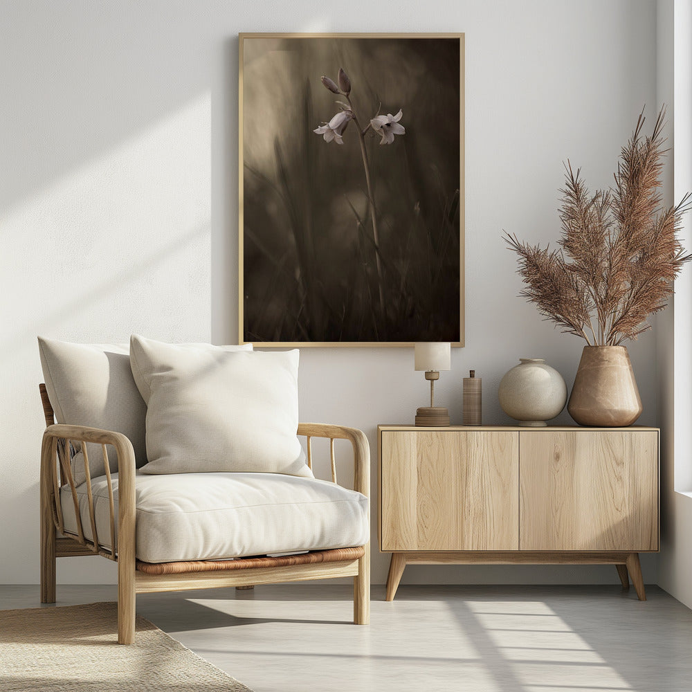 A small flower on the ground | Poster