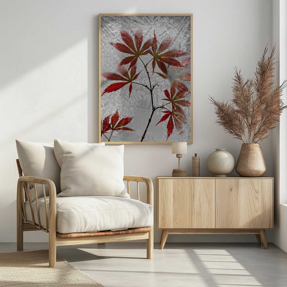 red maple | Poster