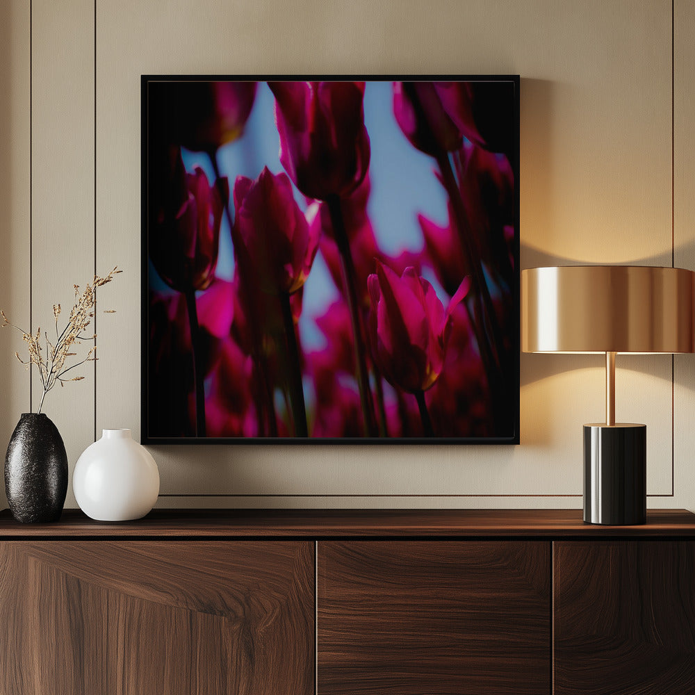 Purple Tulips | Poster