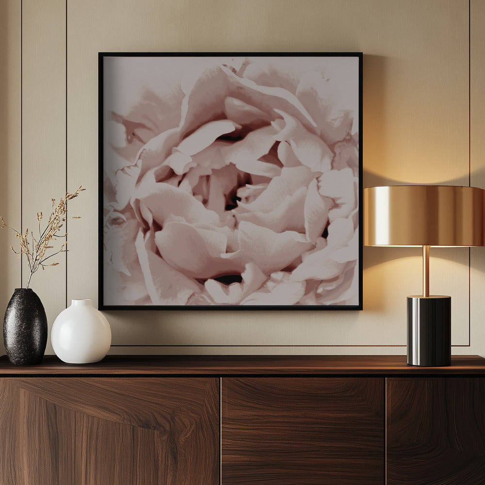Delicate Peony Flower | Poster