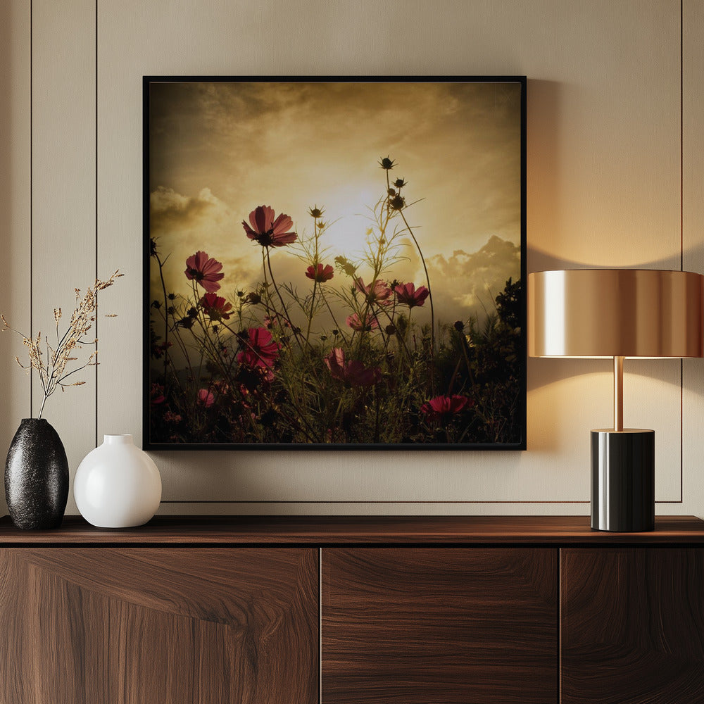 Watching the Sun | Poster