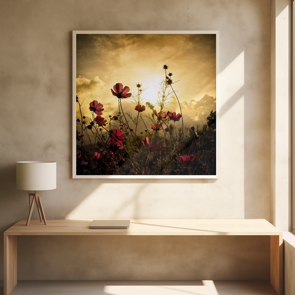 Watching the Sun | Poster