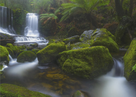 Hello Horseshoe | Canvas