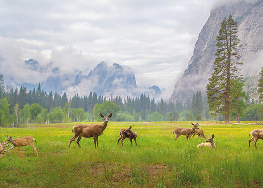 A Feeling of Ancient Time | Canvas