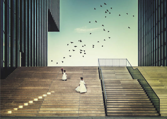 Free like a bird... | Poster