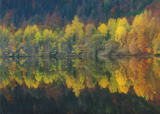 Autumnal silence | Poster