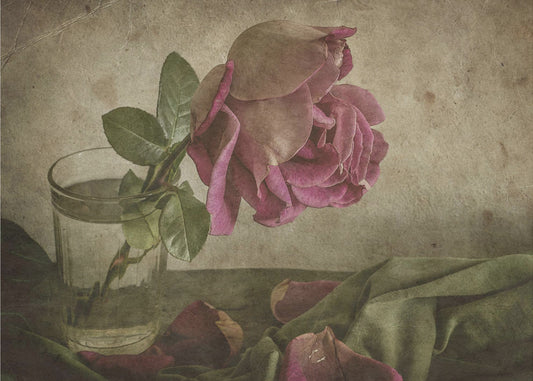 Tear of Rose | Poster