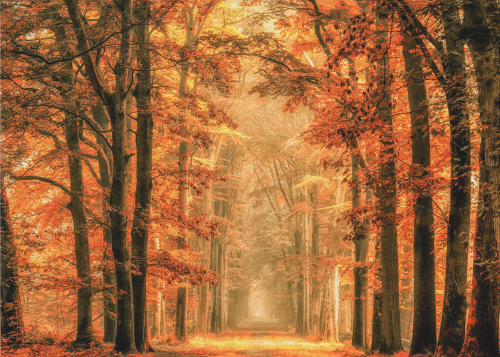 Exit the Portal | Canvas
