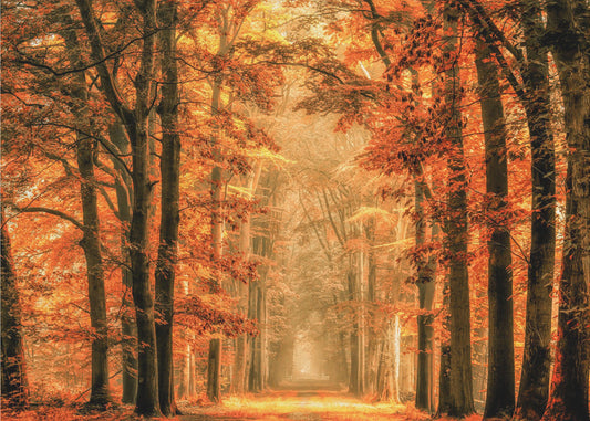 Exit the Portal | Canvas