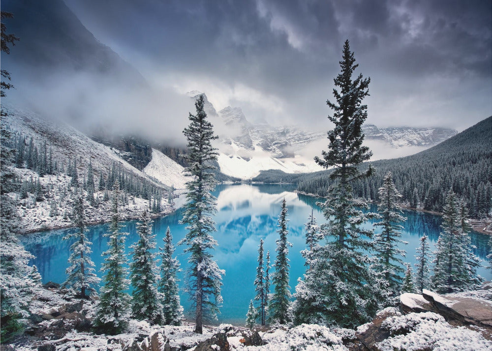 Morning blues | Canvas