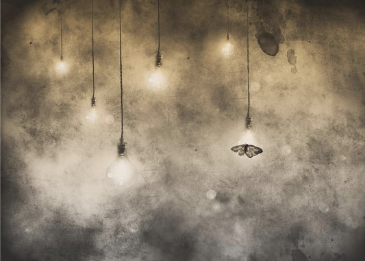 attraction | Wallpaper