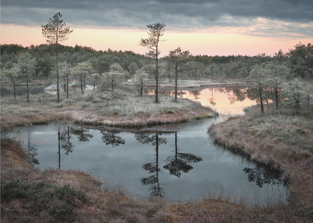 Spilled paint | Poster