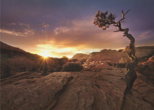 Distorted | Wallpaper