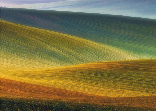 Spring fields | Wallpaper