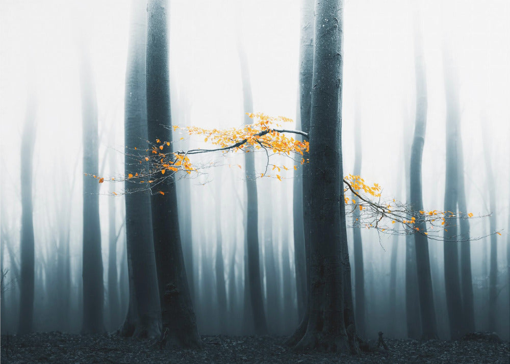 Speulder Revisited | Poster