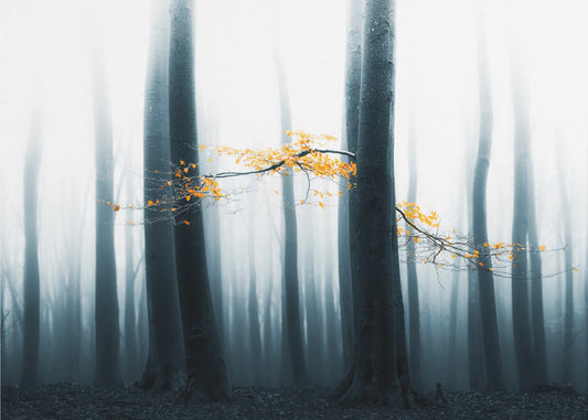 Speulder Revisited | Canvas