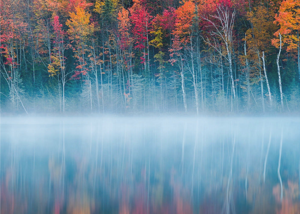 Morning Reflection | Wallpaper