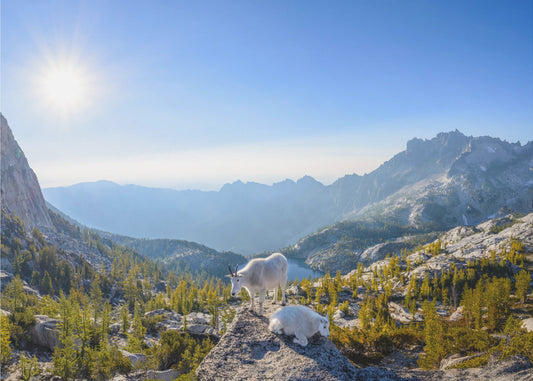 Enchantment: Prusik Pass Panorama | Poster