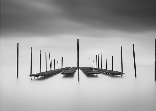 The Oyster Bar | Poster