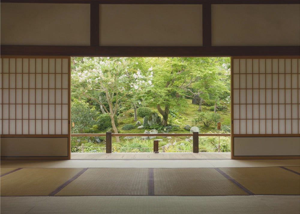 Zen Zone | Wallpaper