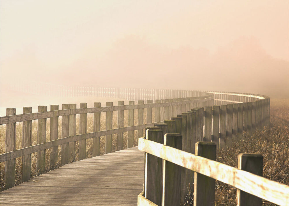 The Path gets brighter. | Poster