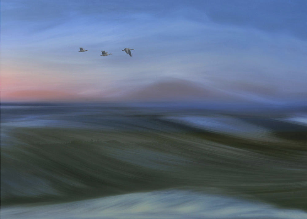 Migrants | Wallpaper