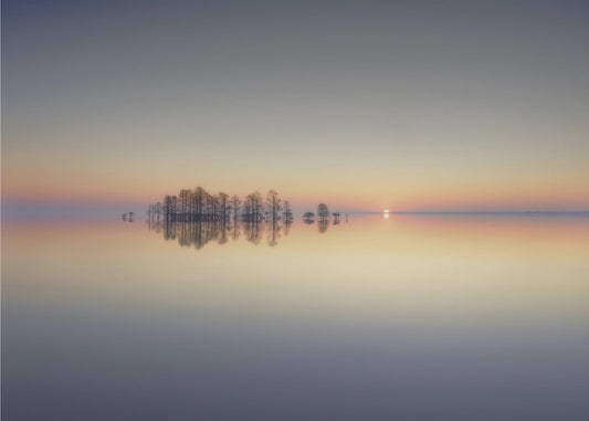 Lake Mattamuskeet Memory | Canvas