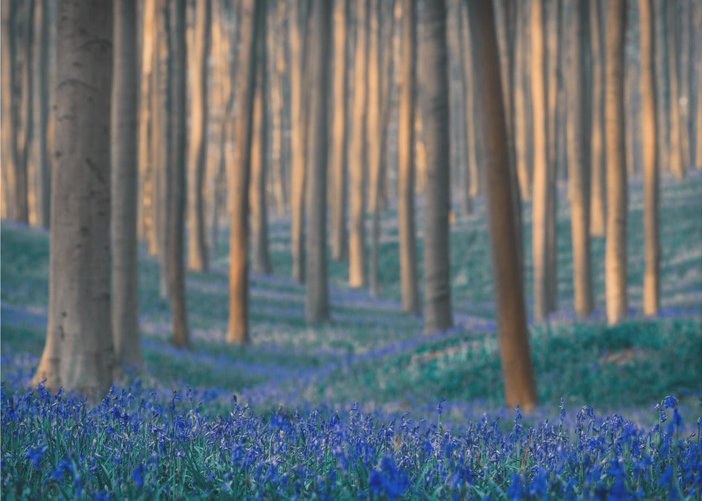 Dreams are made of these | Poster