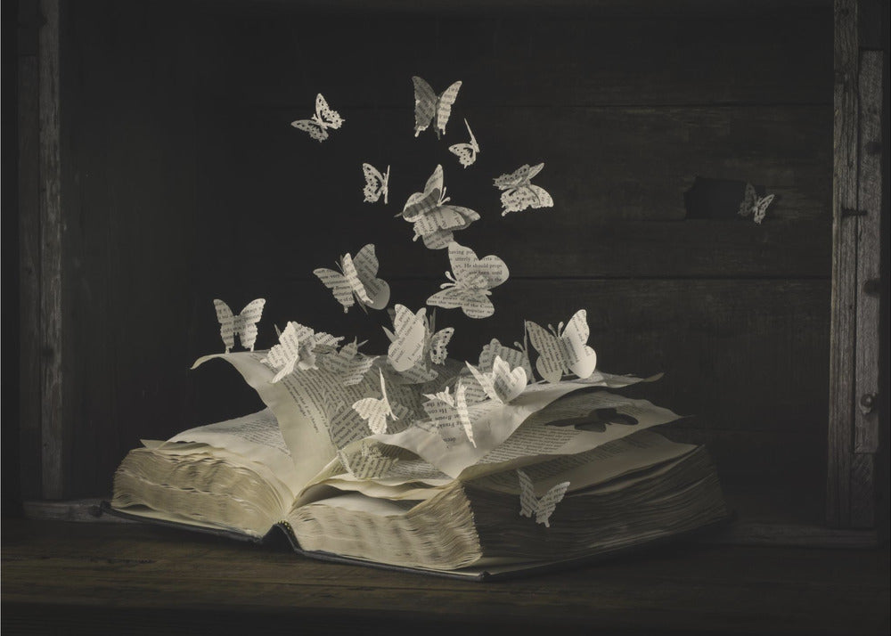 Lepidopterology | Poster